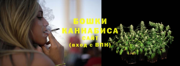 прущий лед Горняк