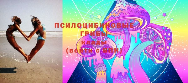 прущий лед Горняк