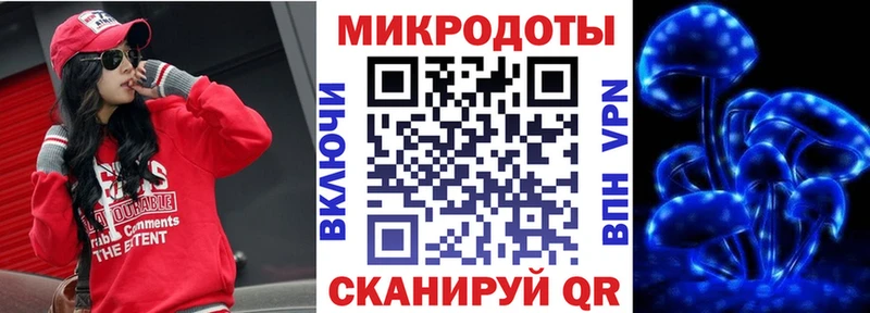 Галлюциногенные грибы Psilocybine cubensis  Ельня 