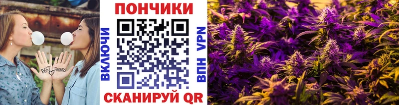 Шишки марихуана Ganja  МЕГА маркетплейс  Ельня 